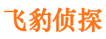 汉阳外遇调查取证